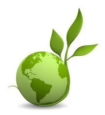 AUDITORIA AMBIENTAL